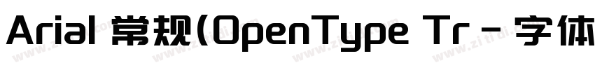 Arial 常规(OpenType Tr字体转换